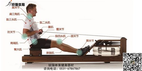 劃船(chuán)機(jī)和(hé)跑步機(jī)哪個(gè)鍛煉更有(yǒu)效