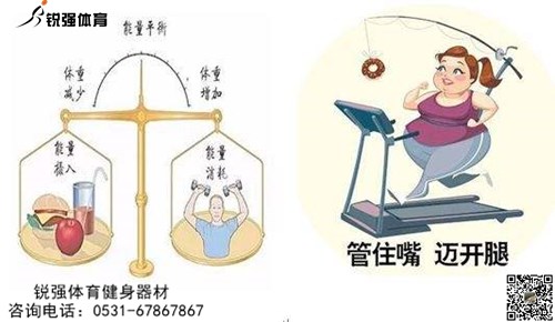 攝入 消耗能(néng)量對(duì)比.jpg