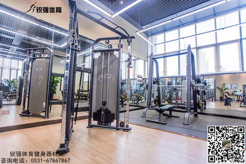 格力集團山(shān)東(dōng)分(fēn)公司單位健身(shēn)房(fáng)項目