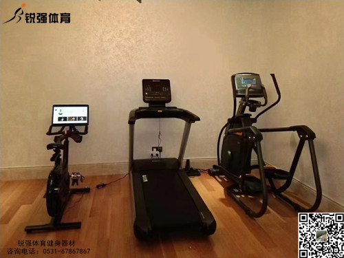 濟南(nán)某洋房(fáng)别墅區(qū)地(dì)下(xià)室私家(jiā)健身(shēn)房(fáng)