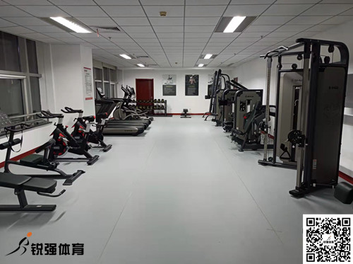 濟南(nán)某集團采購(gòu)的(de)銳強體(tǐ)育提供的(de)健身(shēn)器(qì)材
