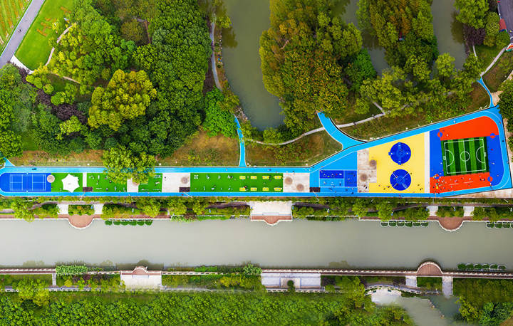 上(shàng)海(hǎi)市(shì)大(dà)甯郁金(jīn)香公園